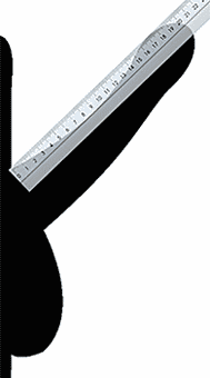 Sketch of an erect penis with applied ruler for measuring the penis length