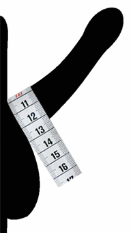 alt="Sketch of an erect penis with wrapped measuring tape for measuring the penis circumference"